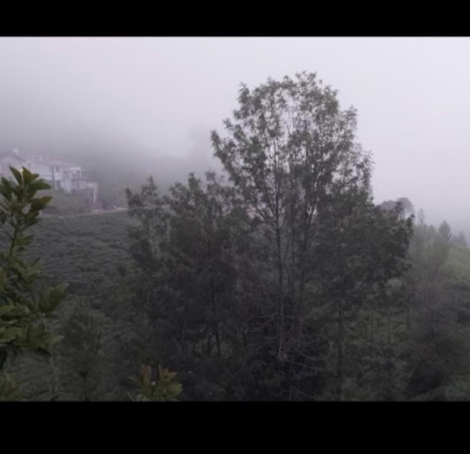 The Valley Villa Kotagiri Esterno foto